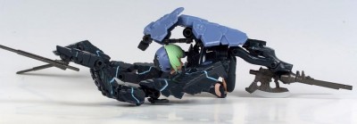 bug02_02.JPG